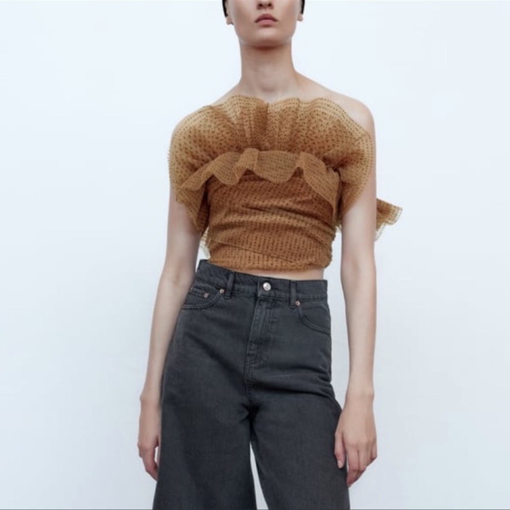 Zara crop organza bustier top